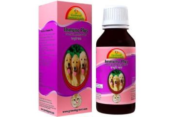 Pet Medication Wholesale Distributors