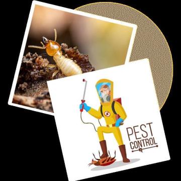 Sorna Valli Pest Control