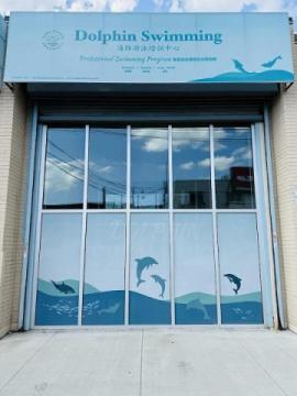 Dolphin Swimming Flagship Pool