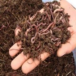 Garden manure manufacture