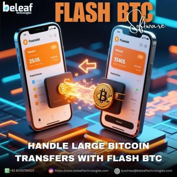 Handle Large Bitcoin Transfers with Flash BTC Software