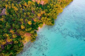 Top India Holiday Packages 2026 | Best Deals on Domestic Tours
