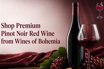 Shop Premium Pinot Noir Red Wine from Wines of Bohemia