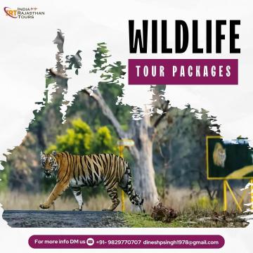 Discover India's Wild Wonders with Unforgettable Safari Adventures