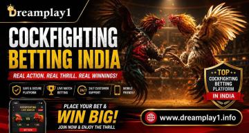 Why Choose Dreamplay1 for Cockfighting Betting India in 2026