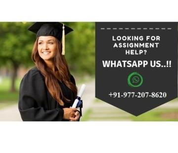 Acquire amazing online assignment help for the university assignments: