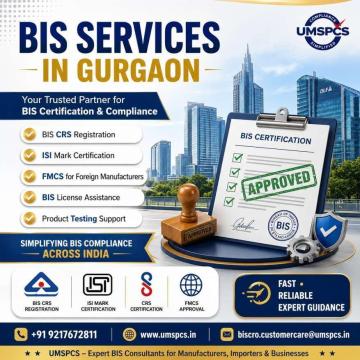 Who Provides BIS Services in Gurgaon?