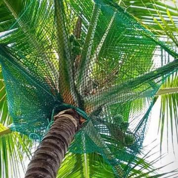 Best Coconut Tree Safety Nets Service Provider in Bangalore | Call "Menorah CocoNets" -