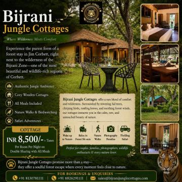 Jungle Safari In Jim Corbett | Stay Near Bijrani Zone