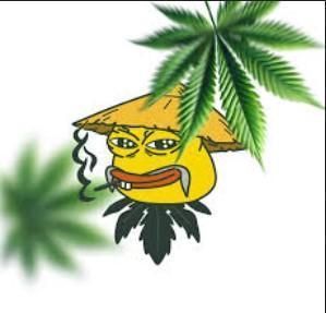 cannabis-deal.com 5% off everything