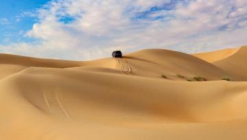 Desert Safari in Liwa Oasis - Abu Dhabi