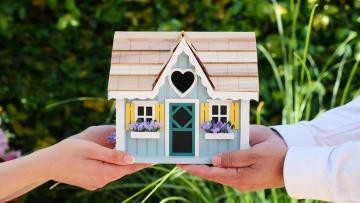 Trusted Insurance Agency in Southwest Florida | Rosier Insurance