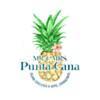 Reliable Punta Cana Transportation Services