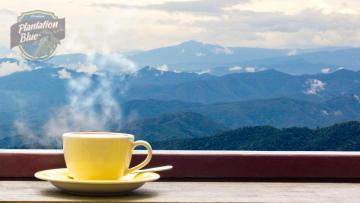 Jamaica Blue Mountain Coffee: How to Make Cold Coffee Without Dilution