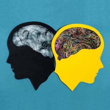 Trusted Bipolar Disorder Treatment Centre in India – The Hermitage Rehab