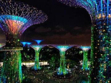 Best Things to Do In Singapore