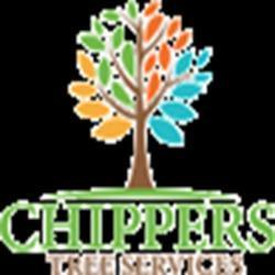 Top 10 Tree Care Tips for Homeowners in Texas