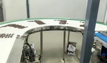 Curve Conveyors Manufacturers in India