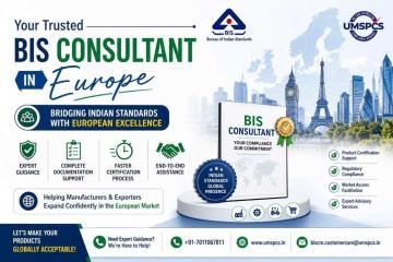 BIS Consultant in Europe