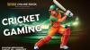 The Future of Cricket: What to Expect from Shiva Online ID in 2025.