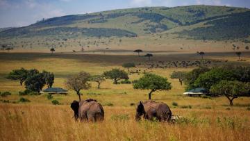 Best Kenya Safari Holidays