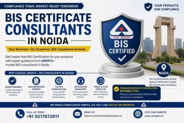 Where to Find a BIS Consultant in Noida?