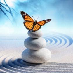 Anxiety Therapy Plano TX | Expert Help for Stress & Panic