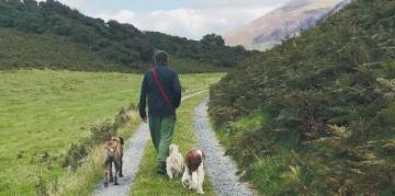 Professional Dog Training Services Near North Wales