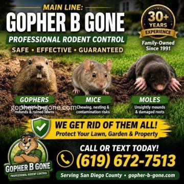San Diego Gopher & Rodent Control – Safe, Effective, Local