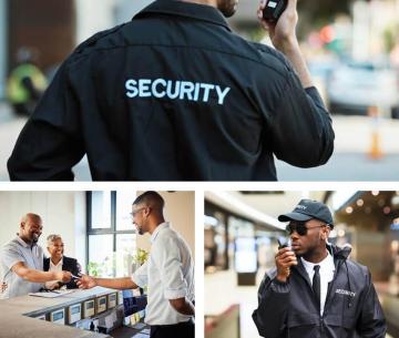 Professional Security Services by Custodian