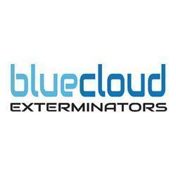 Termite Spraying Near Burbank